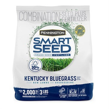 Grass Seed Kentucky Bluegrass